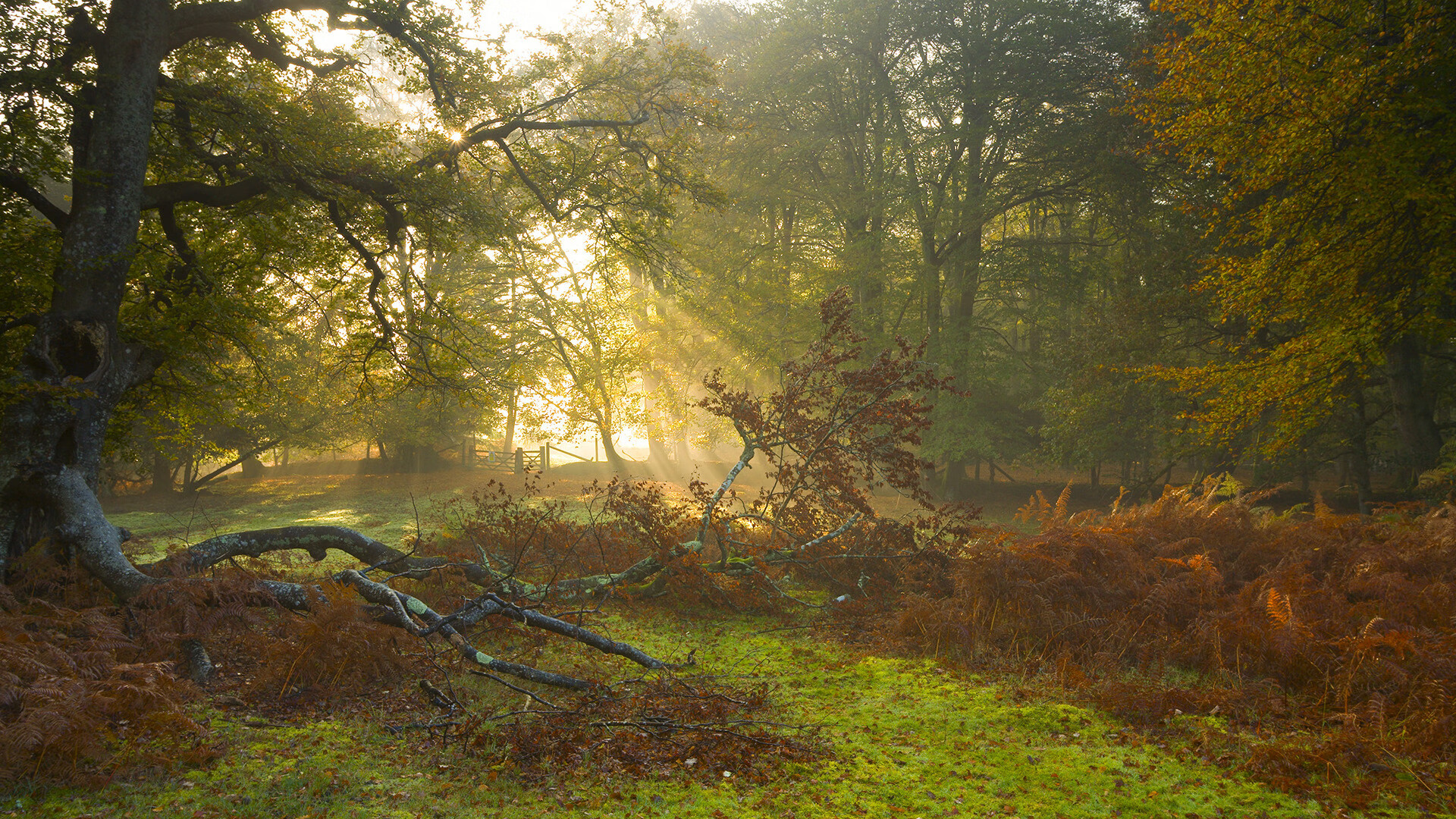 马洛卡防线协作化解数次威胁射门，atp马洛卡
