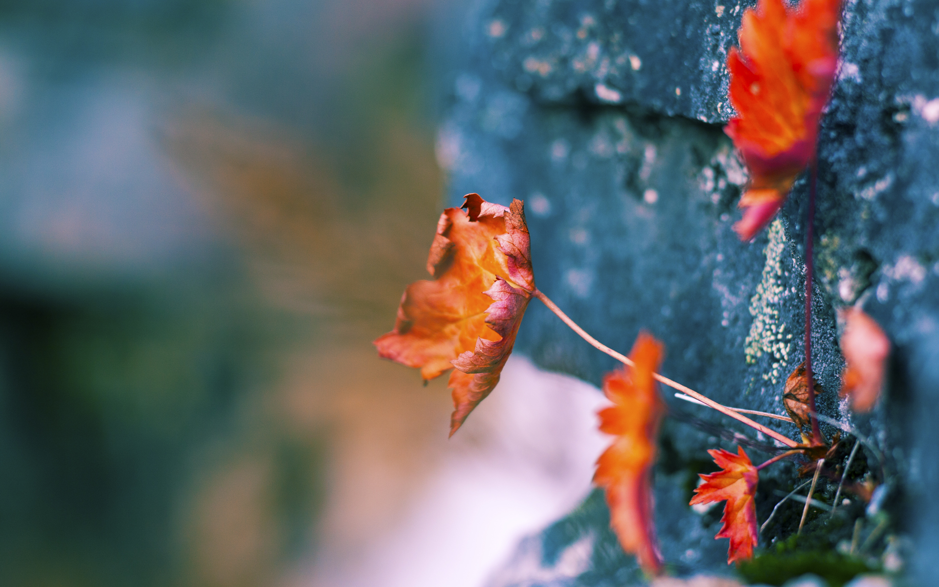 米兰体育app网址-阿森纳青训不断突破，未来巨星频出